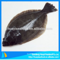 good quality fresh frozen flounder for sale